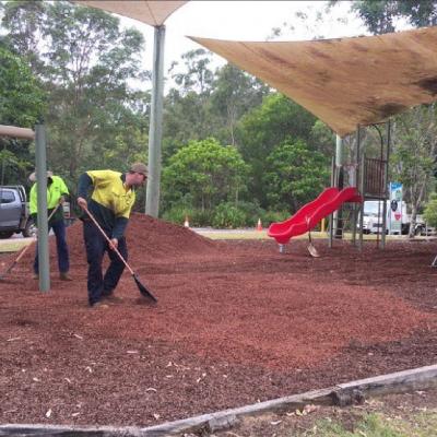 20190827 082442 Arborcare Qld2